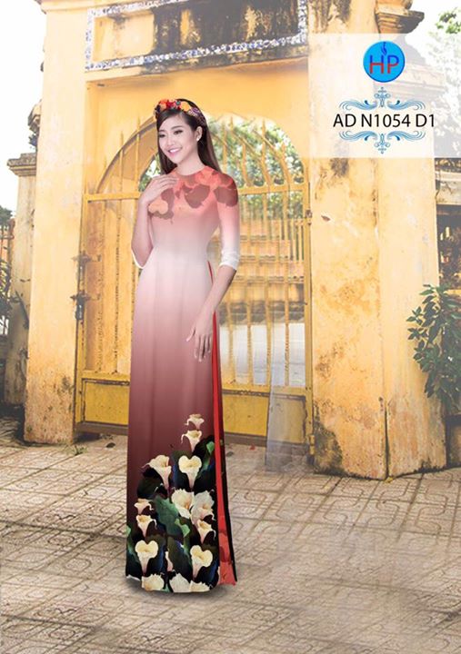 1502727189 113 vai ao dai loa ken ad