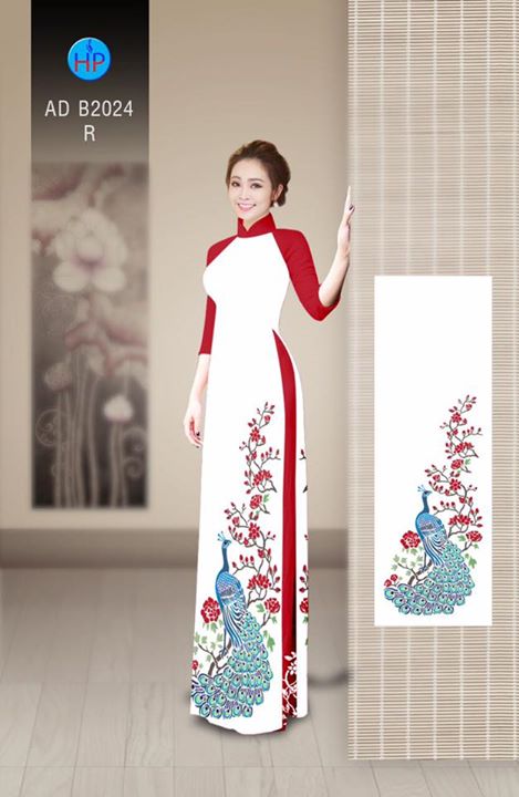 1509755126 179 vai ao dai cong ad