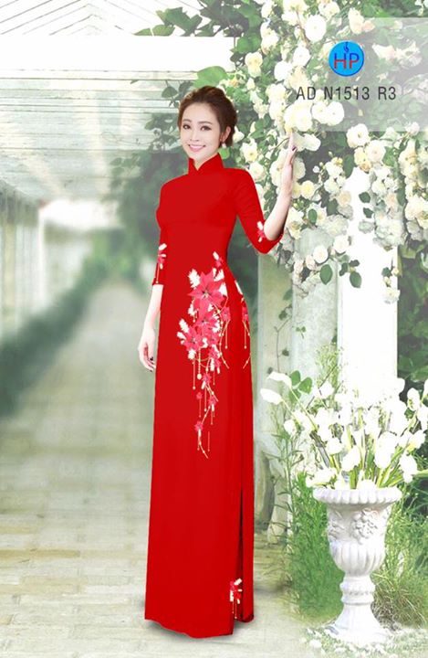 1510101596 574 vai ao dai noel ad