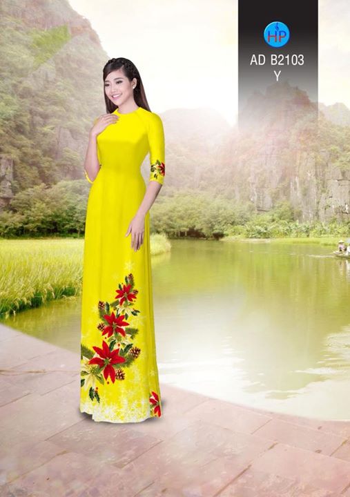 1511960679 608 vai ao dai noel ad