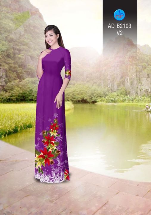 1511960679 97 vai ao dai noel ad