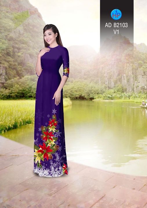 1511960680 674 vai ao dai noel ad