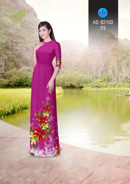 1511960680 998 vai ao dai noel ad