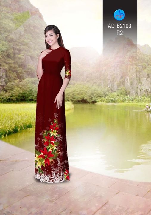 1511960681 566 vai ao dai noel ad