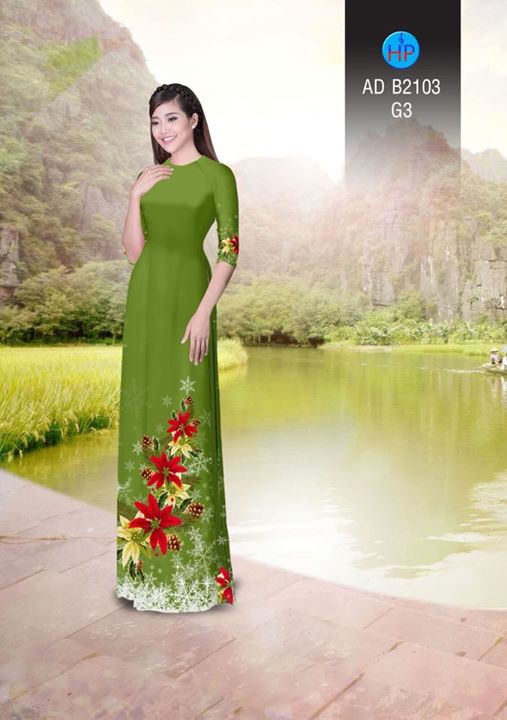 1511960681 727 vai ao dai noel ad