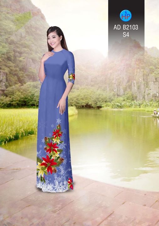 1511960682 228 vai ao dai noel ad