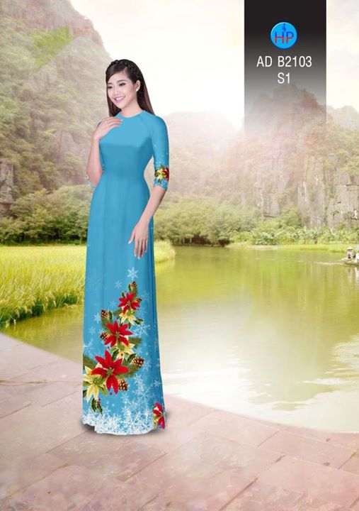 1511960682 791 vai ao dai noel ad