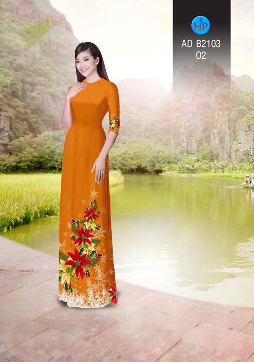 1511960683 892 vai ao dai noel ad