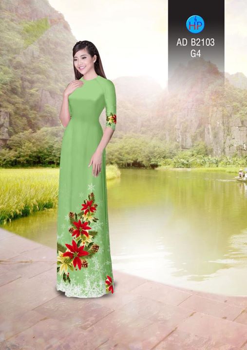 1511960684 351 vai ao dai noel ad