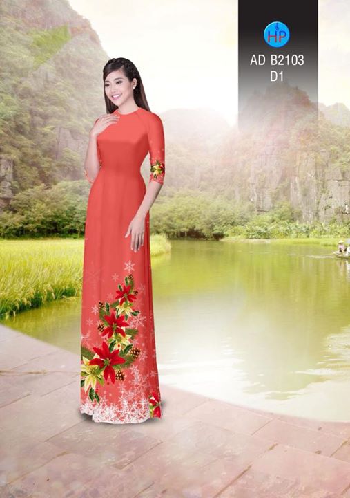 1511960685 325 vai ao dai noel ad