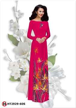 1521388355 19 vai ao dai bst hoa thien dieuhoa thien dieu la loai hoa tuong trung cho tinh yeu bay bong ad