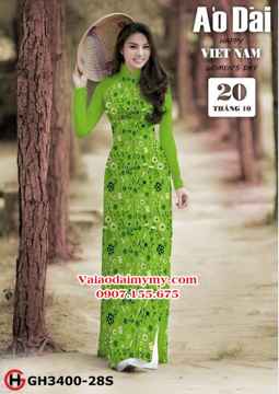 1539282456 524 vai ao dai ad