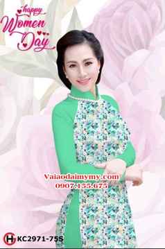 1539303787 94 vai ao dai ad