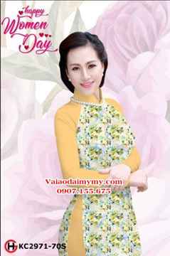 1539303788 483 vai ao dai ad