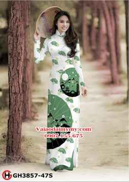 1539350617 594 vai ao dai ad