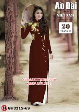 1539401676 450 vai ao dai ad