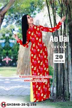 1539499646 952 vai ao dai ad