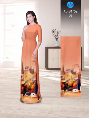 1506264788 255 vai ao dai nghe thuat ad