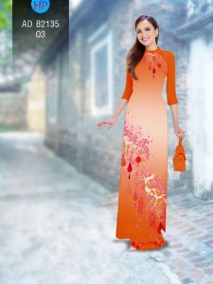 1511274238 281 vai ao dai phao hoa ngay tet ad