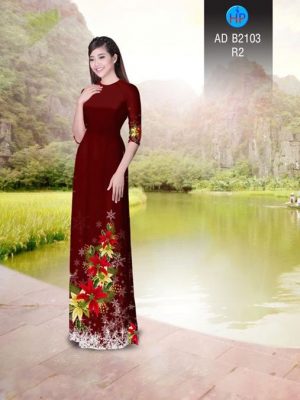 1511960681 566 vai ao dai noel ad