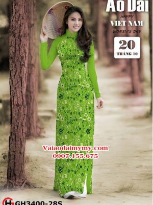 1539282456 524 vai ao dai ad