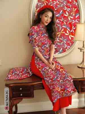 vai ao dai hinh chuon chuon truyen thong thanh lich 69684