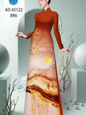 1747963913 968 vai ao dai phong canh ad 45122